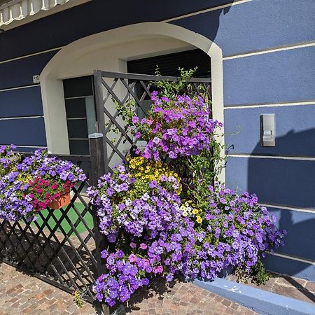 Apartments Giovannini Fai della Paganella Ngoại thất bức ảnh
